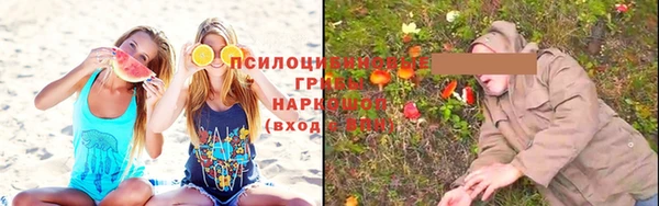 трава Краснотурьинск