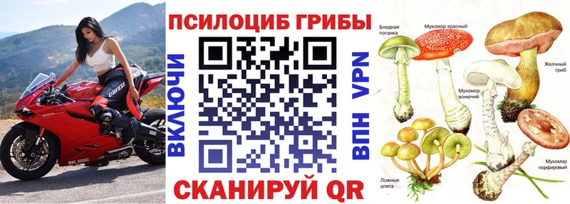 Галлюциногенные грибы Cubensis  Яблоновский 